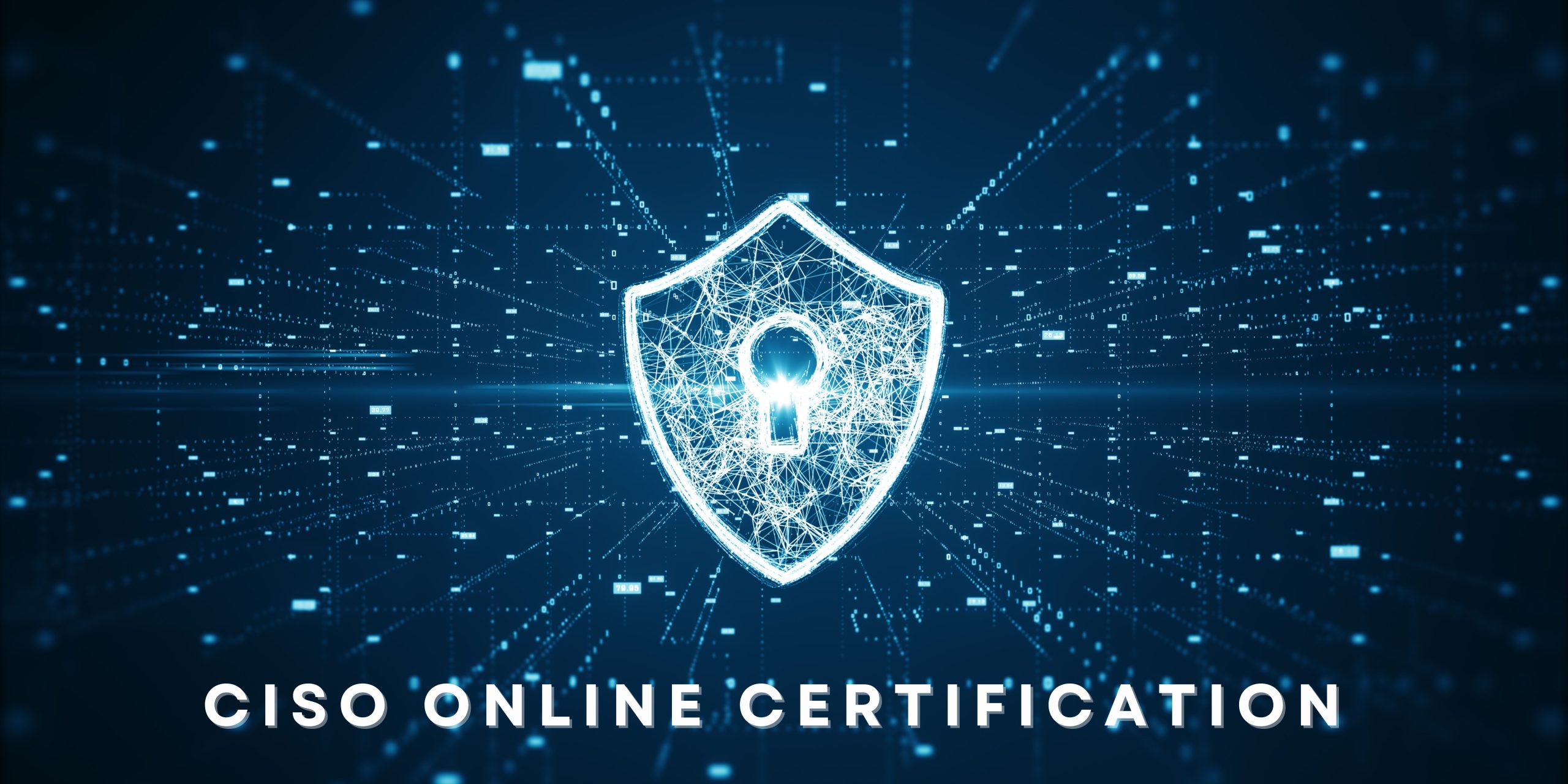 4th Batch – Online Certification Course on CISO